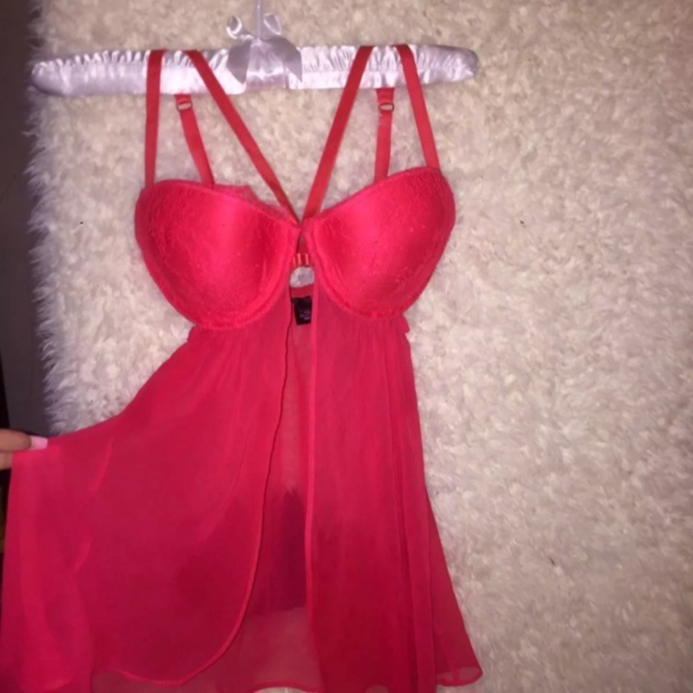 VS pink teddy